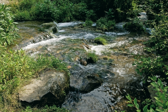 Mini-cure arthrose des mains à Royat-Chamalières - Auvergne Thermale